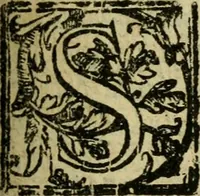 An illustration from La historia d'Italia ...: nuouamente rescontrata con tutti gli altri historici & auttori, che dell'istesse cose habbiano scritto: & ornata in margine con l'annotationi de' riscontri fatti da Thomaso Porcacchi da Castiglione Arretino. Con un Guidicio fatto dal medesimo, per discoprir tutte le bellezze di questa Historia: & una Raccolta di tutte le sententie sparse per l'opera: et con due tauole: una de gli auttori citati in margine; & l'altra delle cose notabili (1574)