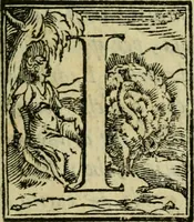 An illustration from La historia d'Italia ...: nuouamente rescontrata con tutti gli altri historici & auttori, che dell'istesse cose habbiano scritto: & ornata in margine con l'annotationi de' riscontri fatti da Thomaso Porcacchi da Castiglione Arretino. Con un Guidicio fatto dal medesimo, per discoprir tutte le bellezze di questa Historia: & una Raccolta di tutte le sententie sparse per l'opera: et con due tauole: una de gli auttori citati in margine; & l'altra delle cose notabili (1574)