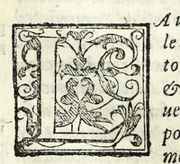 An illustration from La historia d'Italia (1563)