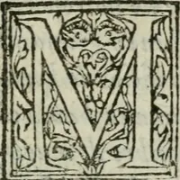 An illustration from La historia general delas Indias con todos los descubrimientos : y cosas notables que han acaescido enellas, dende que se ganaron hasta agora (1554)