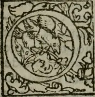 An illustration from La historia general delas Indias con todos los descubrimientos : y cosas notables que han acaescido enellas, dende que se ganaron hasta agora (1554)