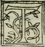 An illustration from La historia general delas Indias con todos los descubrimientos : y cosas notables que han acaescido enellas, dende que se ganaron hasta agora (1554)