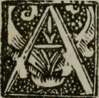 An illustration from La historia general delas Indias con todos los descubrimientos : y cosas notables que han acaescido enellas, dende que se ganaron hasta agora (1554)