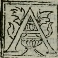 An illustration from La historia general delas Indias con todos los descubrimientos : y cosas notables que han acaescido enellas, dende que se ganaron hasta agora (1554)