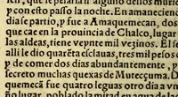 An illustration from La historia general de las Indias, y todo lo acaescido enellas dende que se ganaron hasta agora. ; y La conquista de Mexico, y dela Nueua España (1554)