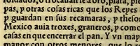 An illustration from La historia general de las Indias, y todo lo acaescido enellas dende que se ganaron hasta agora. ; y La conquista de Mexico, y dela Nueua España (1554)
