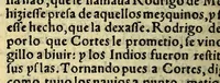 An illustration from La historia general de las Indias, y todo lo acaescido enellas dende que se ganaron hasta agora. ; y La conquista de Mexico, y dela Nueua España (1554)