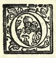 An illustration from La idropica : commedia (1613)