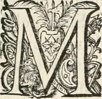 An illustration from La Ioyevse & magnifique entrée de Monseigneur Françoys, fils de France, et frere vnicqve dv Roy, par la grace de Dieu, Dvc de Brabant, d'Anjou, Alençon, Berri, &c. en sa tres-renommée ville d'Anvers (1582)