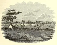 An illustration from The lake regions of Central Africa : a picture of exploration (1860)