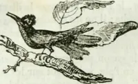 An illustration from La Lanterne magique : journal des choses curieuses et amusantes (1833)