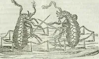 Picture 20 of 65 from La Lanterne magique : journal des choses curieuses et amusantes (1833), leaf 188