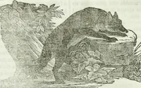 An illustration from La Lanterne magique : journal des choses curieuses et amusantes (1833)