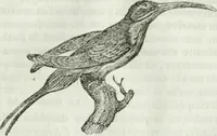 An illustration from La Lanterne magique : journal des choses curieuses et amusantes (1833)