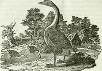 An illustration from La Lanterne magique : journal des choses curieuses et amusantes (1833)