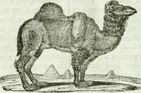 An illustration from La Lanterne magique : journal des choses curieuses et amusantes (1833)