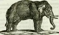 An illustration from La Lanterne magique : journal des choses curieuses et amusantes (1833)