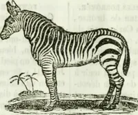 An illustration from La Lanterne magique : journal des choses curieuses et amusantes (1833)