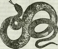 An illustration from La Lanterne magique : journal des choses curieuses et amusantes (1833)