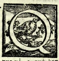 An illustration from L'alchimista : comedia (1602)
