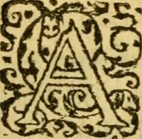 An illustration from La Legende des Flamens : cronique abregee, en laquelle est faict succinct recueil de l'origine des peuples & estatz de Flandres, Arthois, Haynault & Bourgongne, & des guerres par eulx faictes à leurs princes & à leurs voisins : auec plaisante co[m]memoration[n] de plusieurs choses faictes & auenuës en France Angleterre & Alemaigne, depuis sept ou huict cens ans : semblablement y sont traictées les descentes & genealogies des roys de Naples & de Sicille, & des princes & ducz de Milan, & quel droict ont les roys de France aus dictz royaumes & duché (1558)