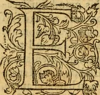 An illustration from La Legende des Flamens : cronique abregee, en laquelle est faict succinct recueil de l'origine des peuples & estatz de Flandres, Arthois, Haynault & Bourgongne, & des guerres par eulx faictes à leurs princes & à leurs voisins : auec plaisante co[m]memoration[n] de plusieurs choses faictes & auenuës en France Angleterre & Alemaigne, depuis sept ou huict cens ans : semblablement y sont traictées les descentes & genealogies des roys de Naples & de Sicille, & des princes & ducz de Milan, & quel droict ont les roys de France aus dictz royaumes & duché (1558)