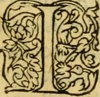 An illustration from La Legende des Flamens : cronique abregee, en laquelle est faict succinct recueil de l'origine des peuples & estatz de Flandres, Arthois, Haynault & Bourgongne, & des guerres par eulx faictes à leurs princes & à leurs voisins : auec plaisante co[m]memoration[n] de plusieurs choses faictes & auenuës en France Angleterre & Alemaigne, depuis sept ou huict cens ans : semblablement y sont traictées les descentes & genealogies des roys de Naples & de Sicille, & des princes & ducz de Milan, & quel droict ont les roys de France aus dictz royaumes & duché (1558)