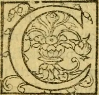 An illustration from La Legende des Flamens : cronique abregee, en laquelle est faict succinct recueil de l'origine des peuples & estatz de Flandres, Arthois, Haynault & Bourgongne, & des guerres par eulx faictes à leurs princes & à leurs voisins : auec plaisante co[m]memoration[n] de plusieurs choses faictes & auenuës en France Angleterre & Alemaigne, depuis sept ou huict cens ans : semblablement y sont traictées les descentes & genealogies des roys de Naples & de Sicille, & des princes & ducz de Milan, & quel droict ont les roys de France aus dictz royaumes & duché (1558)