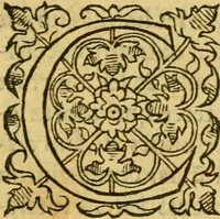 An illustration from La Legende des Flamens : cronique abregee, en laquelle est faict succinct recueil de l'origine des peuples & estatz de Flandres, Arthois, Haynault & Bourgongne, & des guerres par eulx faictes à leurs princes & à leurs voisins : auec plaisante co[m]memoration[n] de plusieurs choses faictes & auenuës en France Angleterre & Alemaigne, depuis sept ou huict cens ans : semblablement y sont traictées les descentes & genealogies des roys de Naples & de Sicille, & des princes & ducz de Milan, & quel droict ont les roys de France aus dictz royaumes & duché (1558)