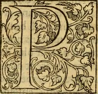 An illustration from La Legende des Flamens : cronique abregee, en laquelle est faict succinct recueil de l'origine des peuples & estatz de Flandres, Arthois, Haynault & Bourgongne, & des guerres par eulx faictes à leurs princes & à leurs voisins : auec plaisante co[m]memoration[n] de plusieurs choses faictes & auenuës en France Angleterre & Alemaigne, depuis sept ou huict cens ans : semblablement y sont traictées les descentes & genealogies des roys de Naples & de Sicille, & des princes & ducz de Milan, & quel droict ont les roys de France aus dictz royaumes & duché (1558)