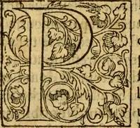 An illustration from La Legende des Flamens : cronique abregee, en laquelle est faict succinct recueil de l'origine des peuples & estatz de Flandres, Arthois, Haynault & Bourgongne, & des guerres par eulx faictes à leurs princes & à leurs voisins : auec plaisante co[m]memoration[n] de plusieurs choses faictes & auenuës en France Angleterre & Alemaigne, depuis sept ou huict cens ans : semblablement y sont traictées les descentes & genealogies des roys de Naples & de Sicille, & des princes & ducz de Milan, & quel droict ont les roys de France aus dictz royaumes & duché (1558)