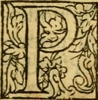 An illustration from La Legende des Flamens : cronique abregee, en laquelle est faict succinct recueil de l'origine des peuples & estatz de Flandres, Arthois, Haynault & Bourgongne, & des guerres par eulx faictes à leurs princes & à leurs voisins : auec plaisante co[m]memoration[n] de plusieurs choses faictes & auenuës en France Angleterre & Alemaigne, depuis sept ou huict cens ans : semblablement y sont traictées les descentes & genealogies des roys de Naples & de Sicille, & des princes & ducz de Milan, & quel droict ont les roys de France aus dictz royaumes & duché (1558)
