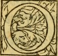 Picture 74 of 83 from La Legende des Flamens : cronique abregee, en laquelle est faict succinct recueil de l'origine des peuples & estatz de Flandres, Arthois, Haynault & Bourgongne, & des guerres par eulx faictes à leurs princes & à leurs voisins : auec plaisante co[m]memoration[n] de plusieurs choses faictes & auenuës en France Angleterre & Alemaigne, depuis sept ou huict cens ans : semblablement y sont traictées les descentes & genealogies des roys de Naples & de Sicille, & des princes & ducz de Milan, & quel droict ont les roys de France aus dictz royaumes & duché (1558), leaf 262