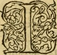 An illustration from La Legende des Flamens : cronique abregee, en laquelle est faict succinct recueil de l'origine des peuples & estatz de Flandres, Arthois, Haynault & Bourgongne, & des guerres par eulx faictes à leurs princes & à leurs voisins : auec plaisante co[m]memoration[n] de plusieurs choses faictes & auenuës en France Angleterre & Alemaigne, depuis sept ou huict cens ans : semblablement y sont traictées les descentes & genealogies des roys de Naples & de Sicille, & des princes & ducz de Milan, & quel droict ont les roys de France aus dictz royaumes & duché (1558)