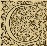 An illustration from La Legende des Flamens : cronique abregee, en laquelle est faict succinct recueil de l'origine des peuples & estatz de Flandres, Arthois, Haynault & Bourgongne, & des guerres par eulx faictes à leurs princes & à leurs voisins : auec plaisante co[m]memoration[n] de plusieurs choses faictes & auenuës en France Angleterre & Alemaigne, depuis sept ou huict cens ans : semblablement y sont traictées les descentes & genealogies des roys de Naples & de Sicille, & des princes & ducz de Milan, & quel droict ont les roys de France aus dictz royaumes & duché (1558)