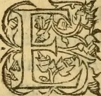 An illustration from La Legende des Flamens : cronique abregee, en laquelle est faict succinct recueil de l'origine des peuples & estatz de Flandres, Arthois, Haynault & Bourgongne, & des guerres par eulx faictes à leurs princes & à leurs voisins : auec plaisante co[m]memoration[n] de plusieurs choses faictes & auenuës en France Angleterre & Alemaigne, depuis sept ou huict cens ans : semblablement y sont traictées les descentes & genealogies des roys de Naples & de Sicille, & des princes & ducz de Milan, & quel droict ont les roys de France aus dictz royaumes & duché (1558)