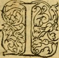 An illustration from La Legende des Flamens : cronique abregee, en laquelle est faict succinct recueil de l'origine des peuples & estatz de Flandres, Arthois, Haynault & Bourgongne, & des guerres par eulx faictes à leurs princes & à leurs voisins : auec plaisante co[m]memoration[n] de plusieurs choses faictes & auenuës en France Angleterre & Alemaigne, depuis sept ou huict cens ans : semblablement y sont traictées les descentes & genealogies des roys de Naples & de Sicille, & des princes & ducz de Milan, & quel droict ont les roys de France aus dictz royaumes & duché (1558)