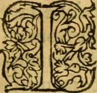 An illustration from La Legende des Flamens : cronique abregee, en laquelle est faict succinct recueil de l'origine des peuples & estatz de Flandres, Arthois, Haynault & Bourgongne, & des guerres par eulx faictes à leurs princes & à leurs voisins : auec plaisante co[m]memoration[n] de plusieurs choses faictes & auenuës en France Angleterre & Alemaigne, depuis sept ou huict cens ans : semblablement y sont traictées les descentes & genealogies des roys de Naples & de Sicille, & des princes & ducz de Milan, & quel droict ont les roys de France aus dictz royaumes & duché (1558)
