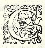 An illustration from La Leonida : comedia (1585)