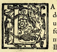 An illustration from La libertà pretesa dal supplice schiauo indiano (1640)
