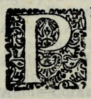 Picture 11 of 16 from La libraria del Doni fiorentino; nella quale sono scritti tutti gli autori volgari, con cento discorsi sopra quelli; tutte le tradottioni fatte dall'altre lingue nella nostra, & vna tauola generale, come si costuma fra librari.. (1551), leaf 139