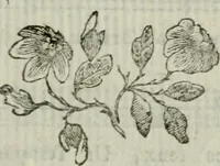 An illustration from La lire maçonne; ou, Recueil de chansons des francs-maçons (1787)