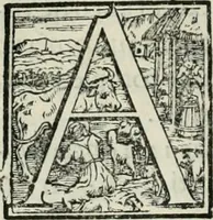 An illustration from L'alitinonfo di m. Gasparo Scaruffi Regiano, per fare ragione, et concordanza d'oro, e d'argento : che seruirà in vniuersale; tanto per prouedere à gli infiniti abusi del tosare, et guastare monete; quanto per regolare ogni sorte di pagamenti, et ridurre anco tutto il mondo ad vna sola moneta (1582)