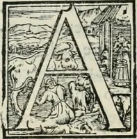 Picture 31 of 64 from L'alitinonfo di m. Gasparo Scaruffi Regiano, per fare ragione, et concordanza d'oro, e d'argento : che seruirà in vniuersale; tanto per prouedere à gli infiniti abusi del tosare, et guastare monete; quanto per regolare ogni sorte di pagamenti, et ridurre anco tutto il mondo ad vna sola moneta (1582), leaf 55