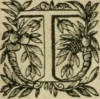 An illustration from La Lvcresse romaine; tragedie (1637)