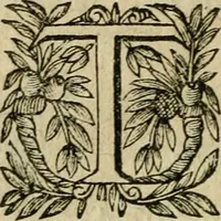 An illustration from La Lvcresse romaine; tragedie (1637)