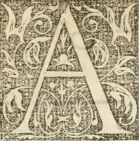 An illustration from La magnifica et trivmphale entrata del Christianiss. re di Francia Henrico secondo di questo nome fatta nella nobile & antiqua Città di Lyone à luy & à la sua serenissima consorte Chaterina alli 21. di septemb. 1548 : colla particulare descritione della commedia che fece recitare la Natione Fiorentina a richiesta di sua Maesta Christianissima (1549)