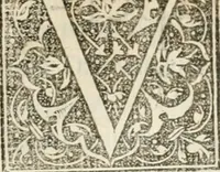 An illustration from La magnifica et trivmphale entrata del Christianiss. re di Francia Henrico secondo di questo nome fatta nella nobile & antiqua Città di Lyone à luy & à la sua serenissima consorte Chaterina alli 21. di septemb. 1548 : colla particulare descritione della commedia che fece recitare la Natione Fiorentina a richiesta di sua Maesta Christianissima (1549)