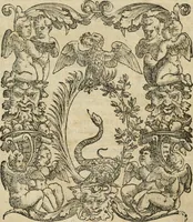 Picture 1 of 30 from La magnifica et trivmphale entrata del Christianiss. re di Francia Henrico secondo di questo nome fatta nella nobile & antiqua Città di Lyone à luy & à la sua serenissima consorte Chaterina alli 21. di septemb. 1548 : colla particulare descritione della commedia che fece recitare la Natione Fiorentina a richiesta di sua Maesta Christianissima (1549), leaf 8