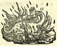Picture 1 of 5 from La mandragola : comedia (1554), leaf 7
